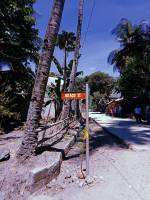 Araco street, dumaguete
