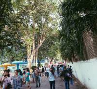 strolling around opon