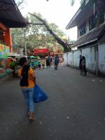Strolling around