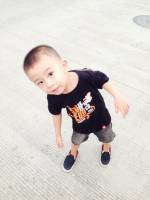 Gaven