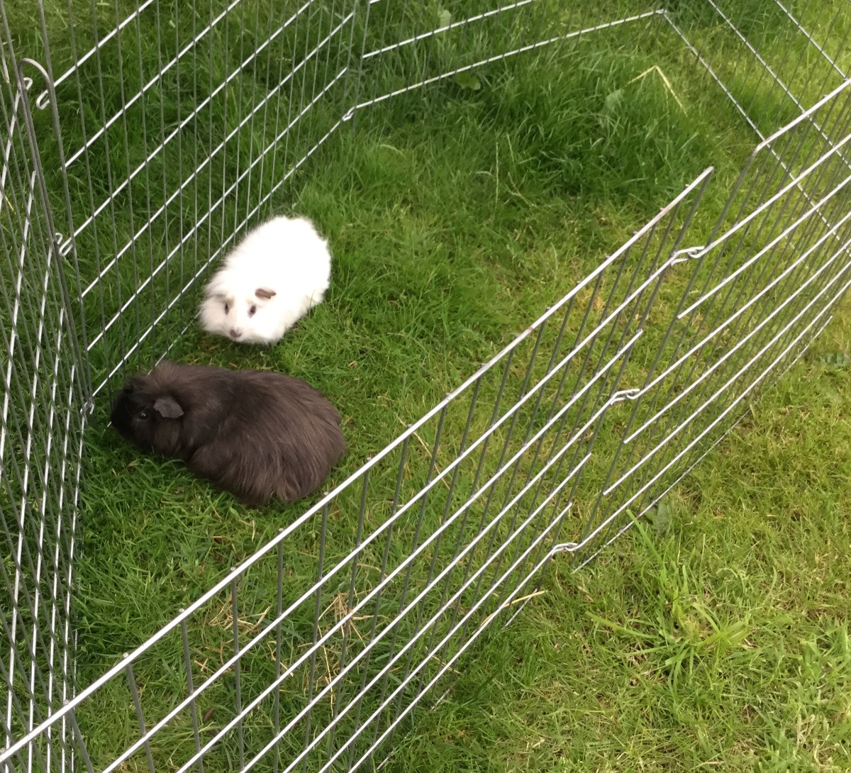 Photo uploaded by jenny253, 2