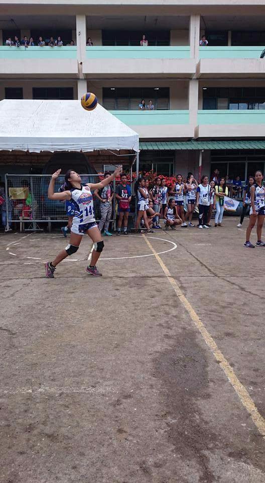 Service , volleyball
