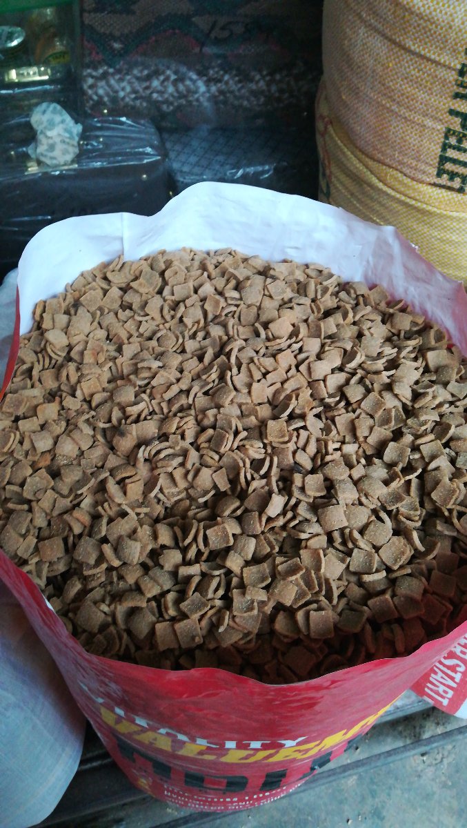 Dog food, 