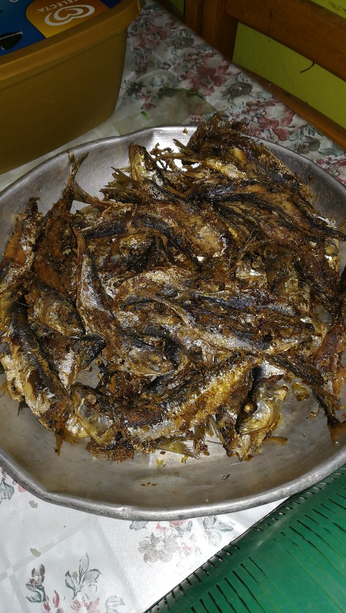Fish, leftovers, food