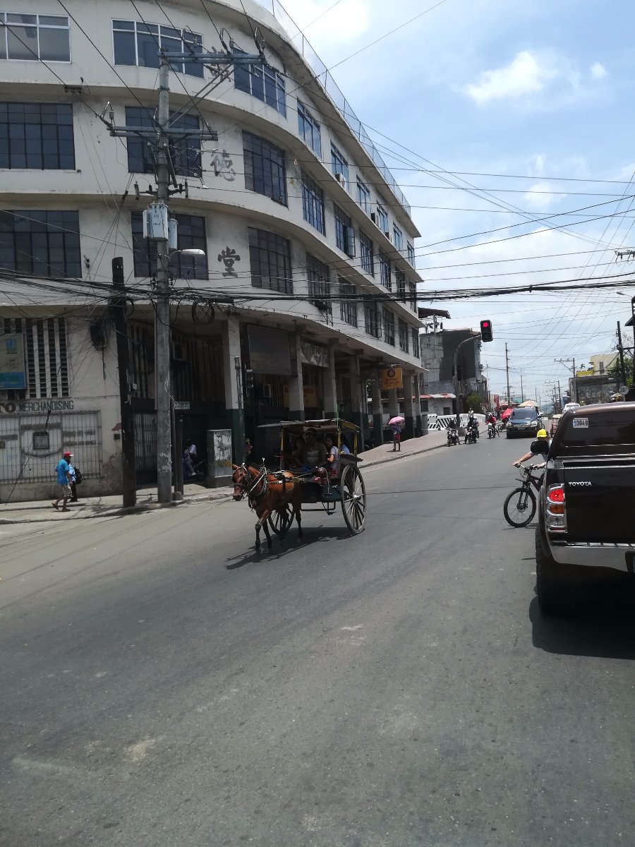 Old, street, horse, business, simple, vintage