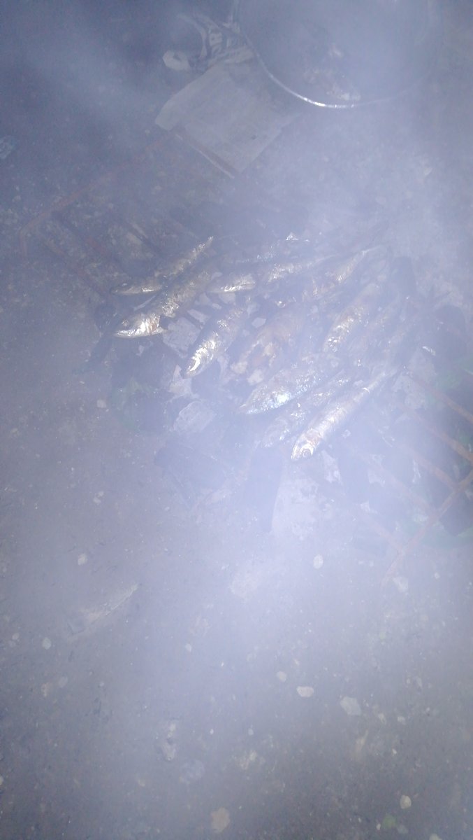 Smoke, fish