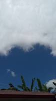 edge,clouds,sky,blue,leaves,roof