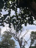 Sky, gloomy, weather, rain
