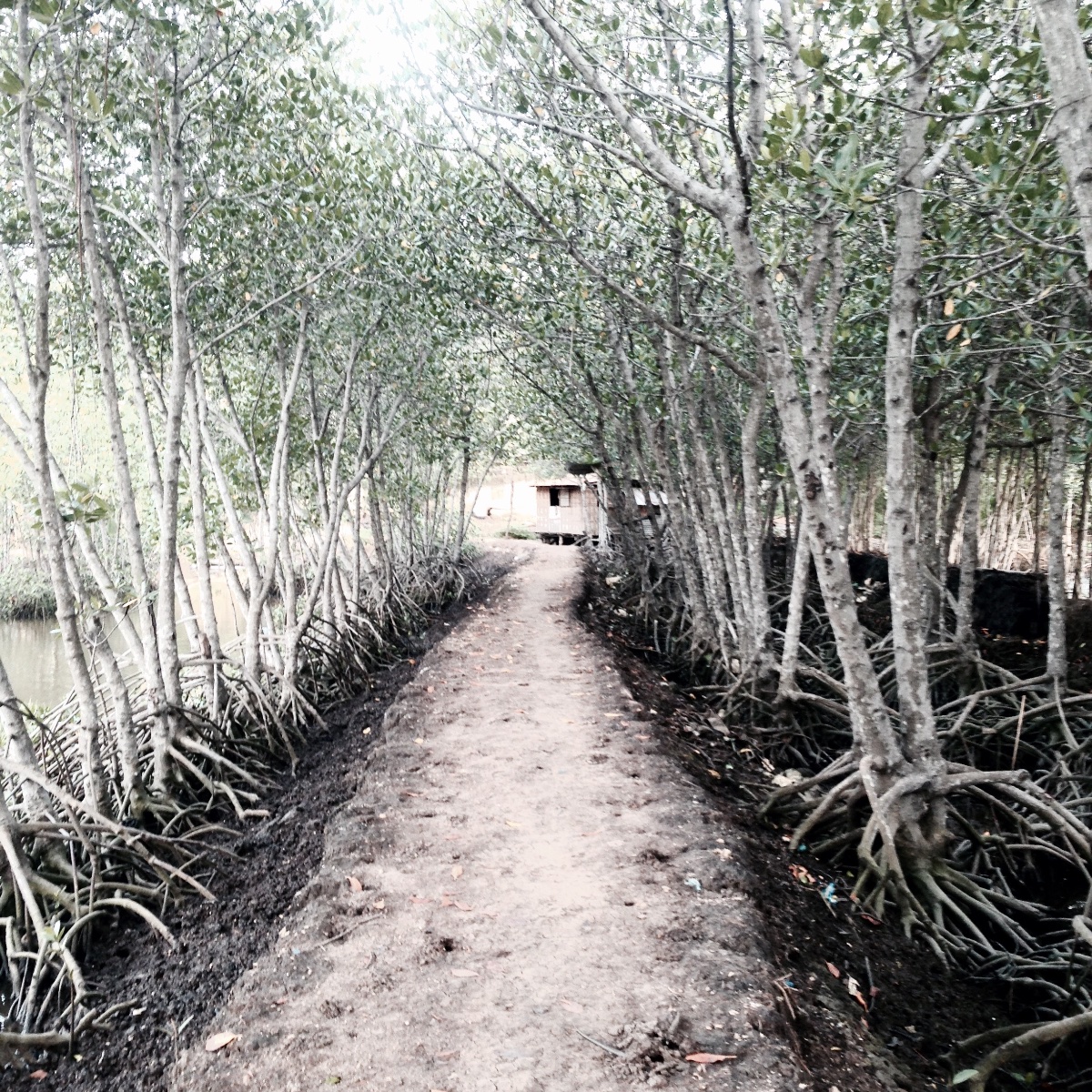 Road to #nature