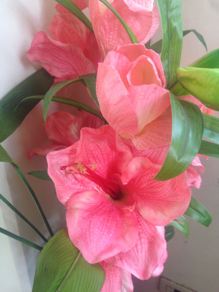 #flower