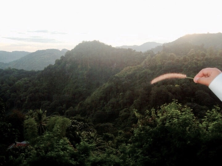 #nature