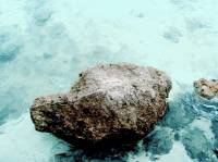 Pusong bato #sea #ocean 