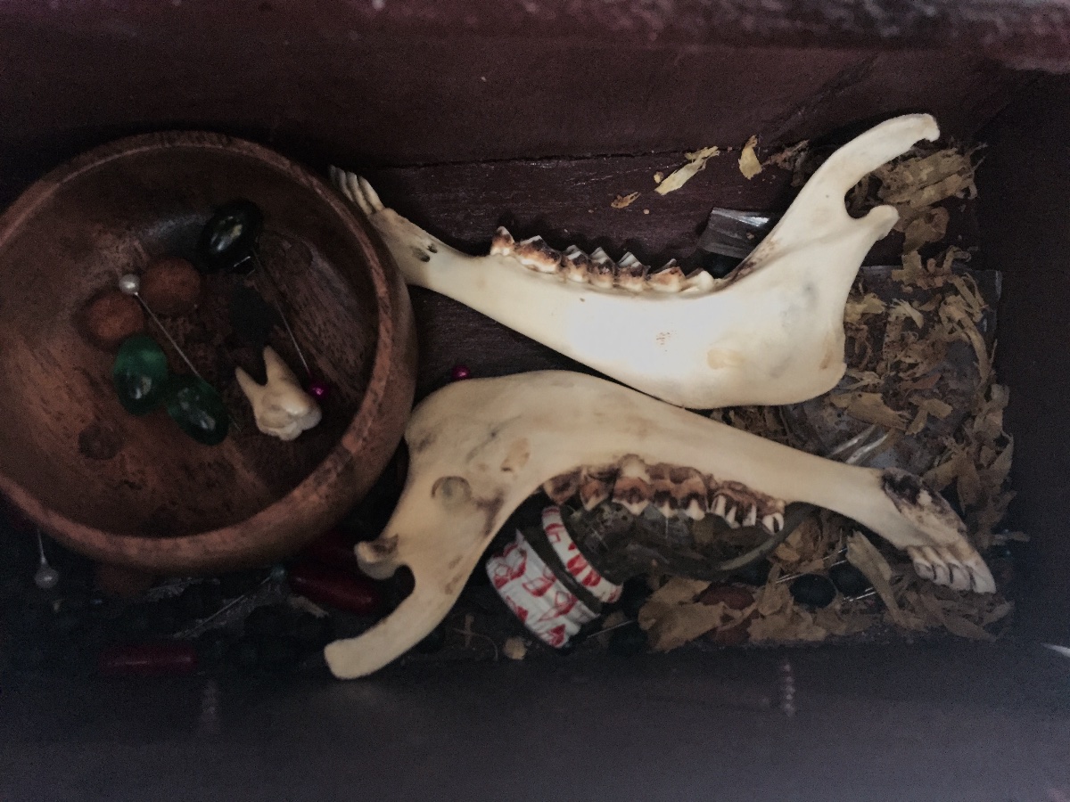 Animal bones, Jaw, teeth, rituals, cult, snake skin, human teeth, exhibition art