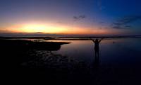 Seashore, Gradient sky, Sunset, low tide, cool view
