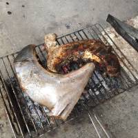 Tuna, panga, grilled, satisfaction, good food, seafood