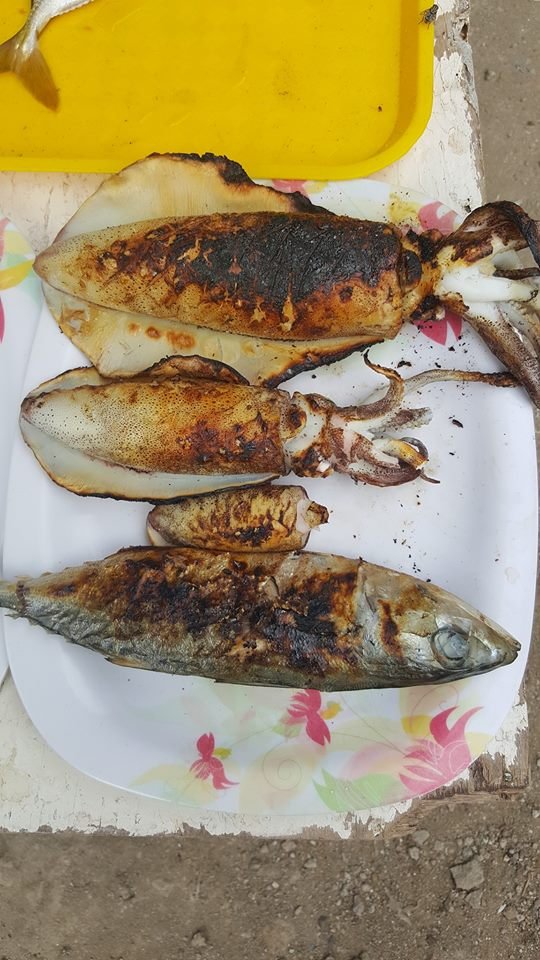 seafood, fish, octopus