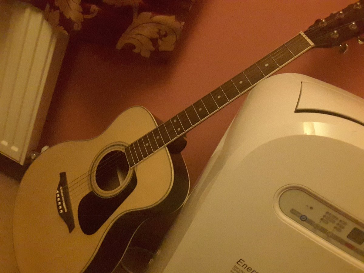 my pride and joy, vintage brand guitar