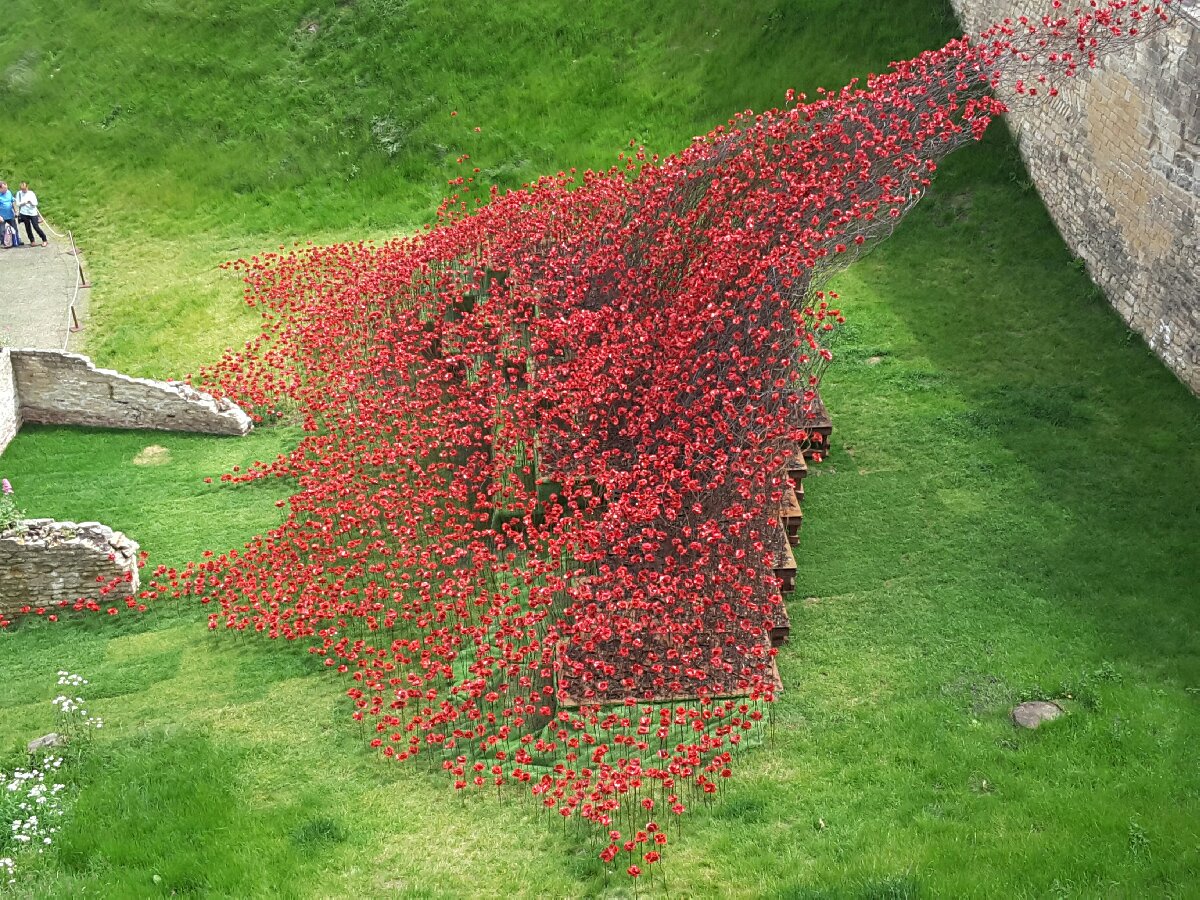 poppies wave, Lincoln castle, May 2016, UK