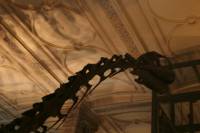 diplodocus, natural history museum, london, uk