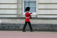 Queens Guard, Buckingham Palace, London UK