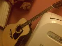 my pride and joy, vintage brand guitar