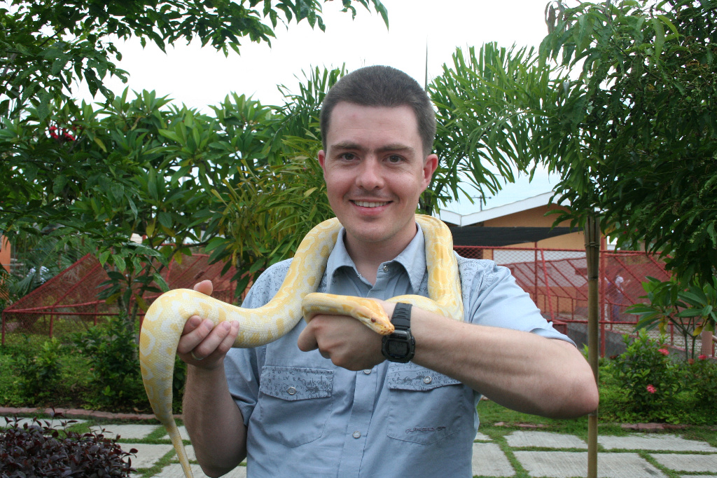 young Yellow Python, young Albino Burmese Python, Davao Crocodile Park, Davao, Philippines