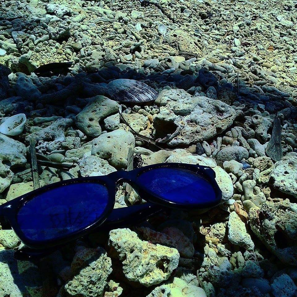 Beach, escapade, with, the, whole, family