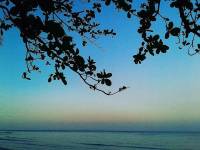 Beautiful, sunset, throwback