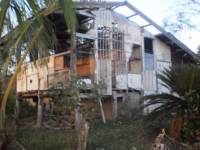 House in bohol devastated