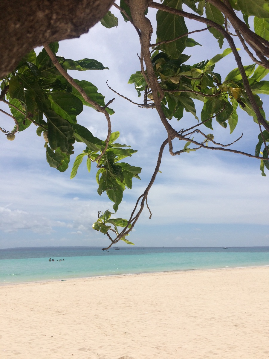 Beach life