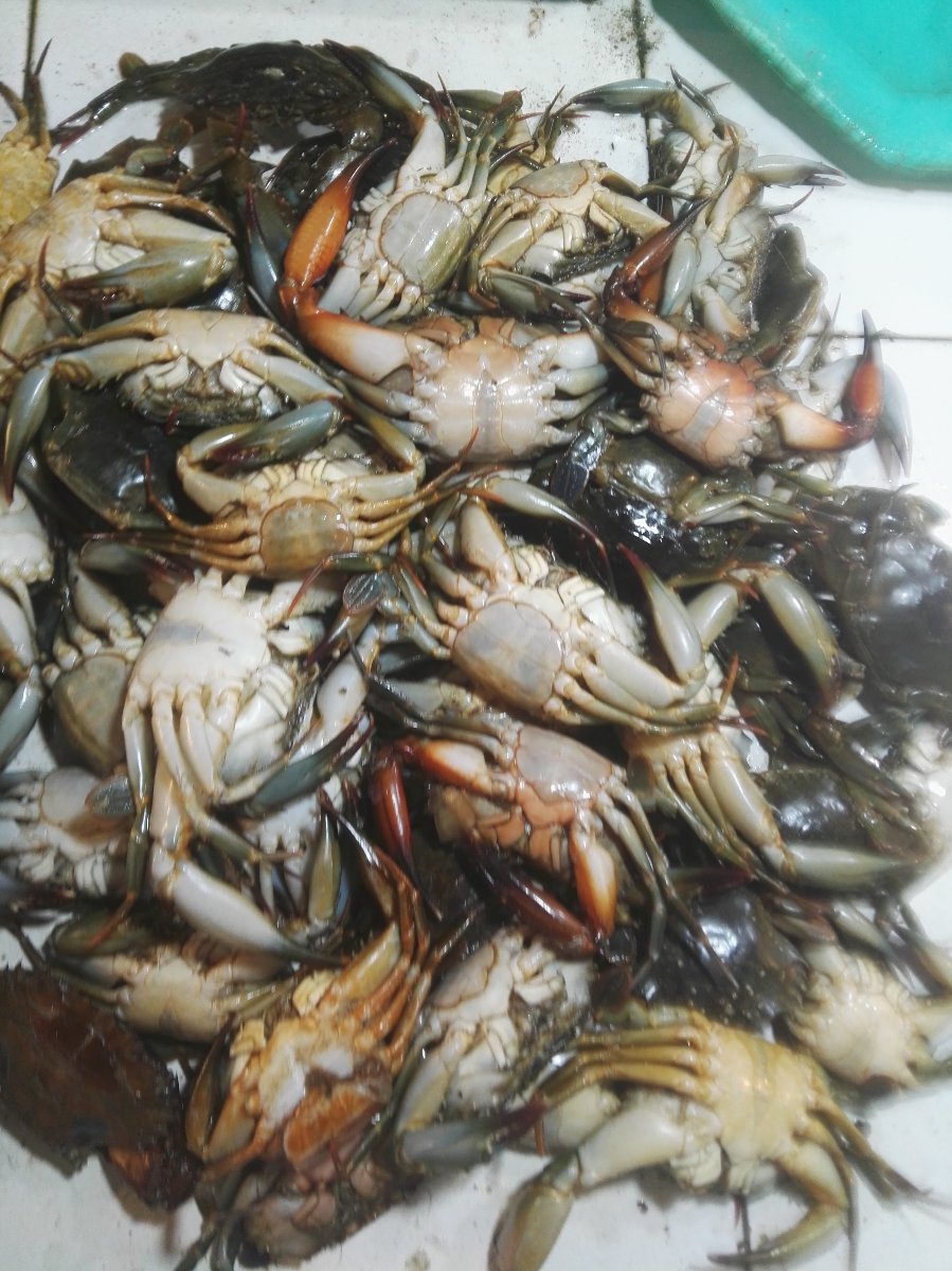 Crabsssss ready for cooking