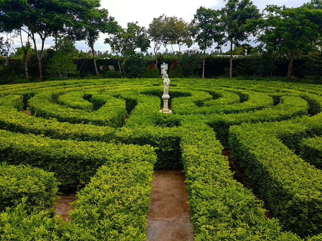 Maze