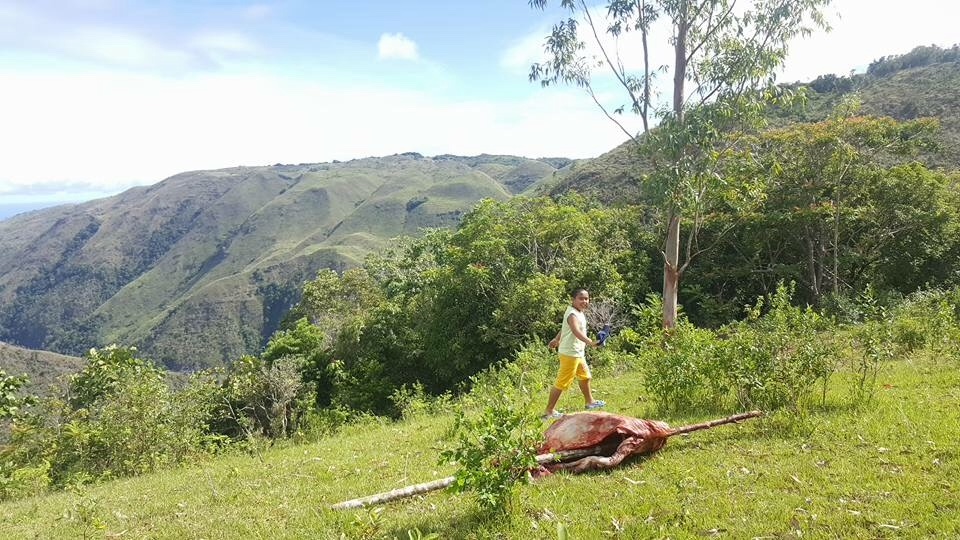 Nature