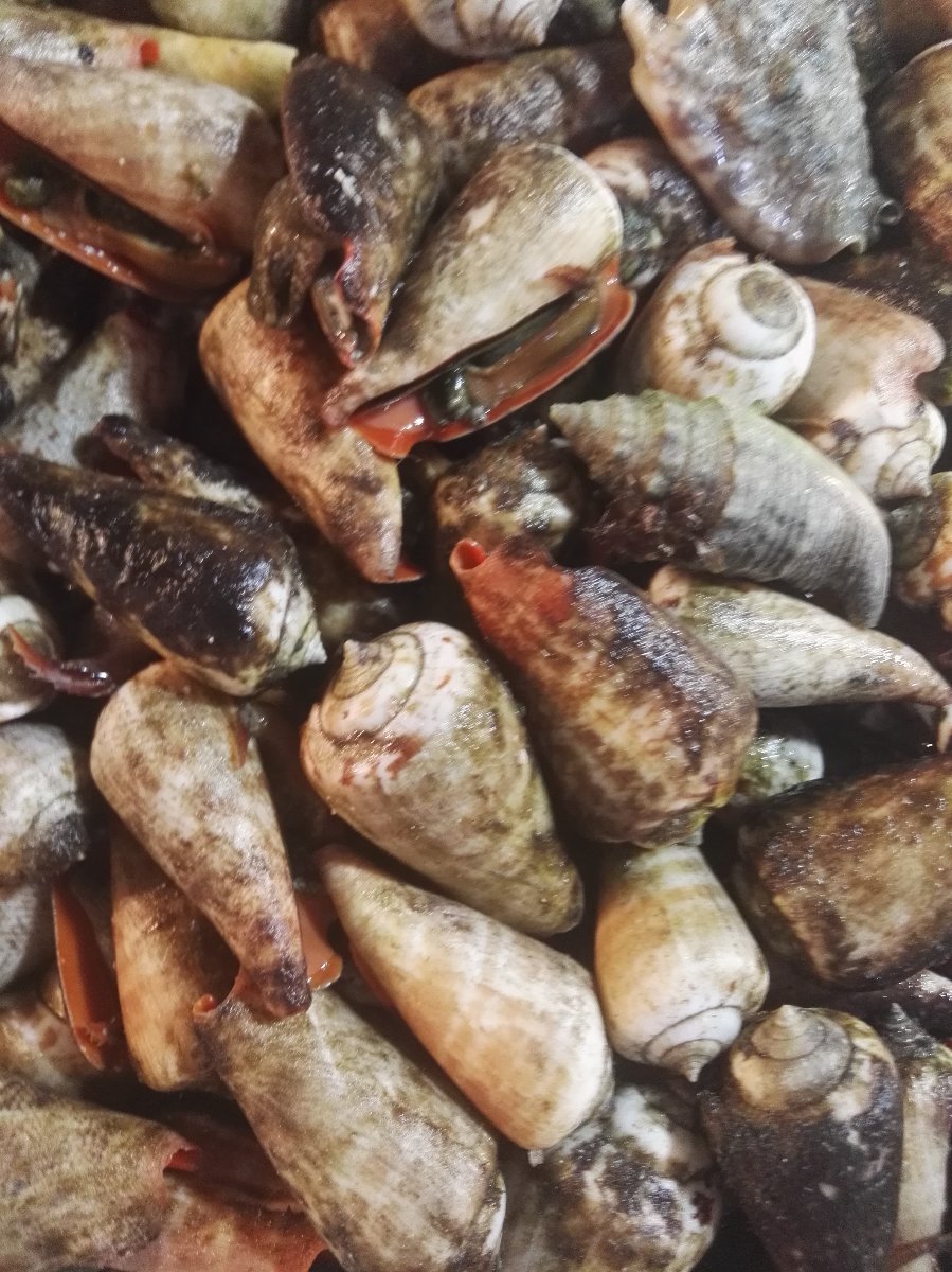 Seafood is love