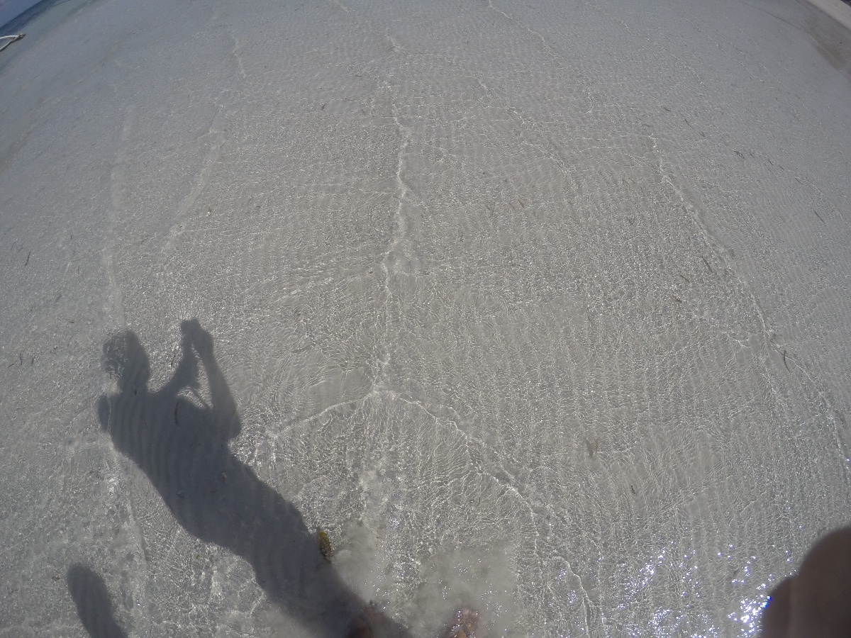 Shadow