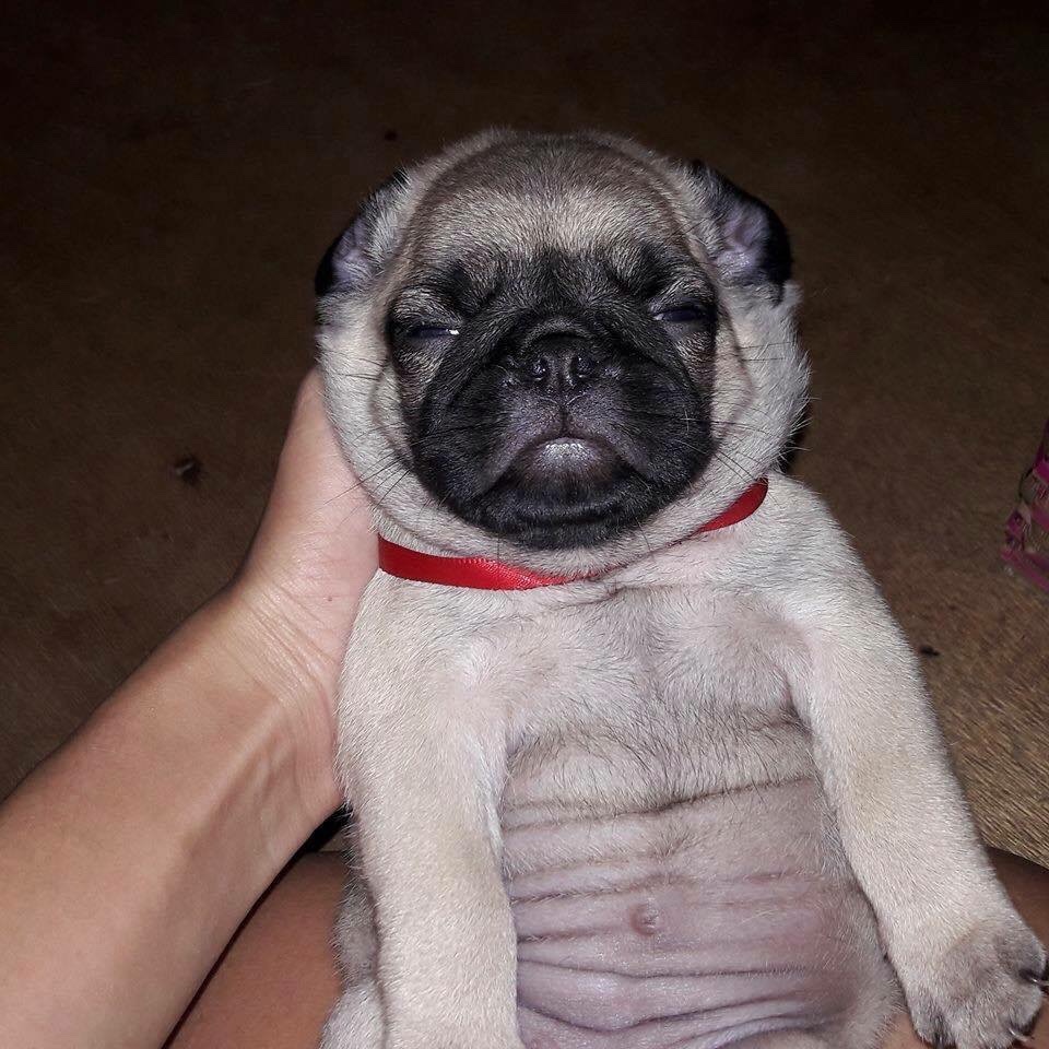 Sleeping