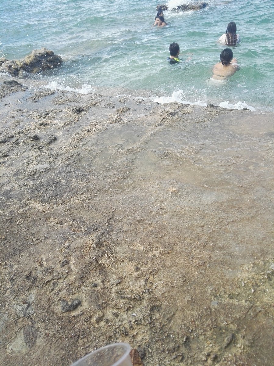 Swimming with friends