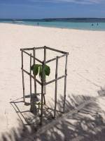 Save the plants