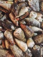 Seafood is love