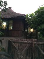 The famous spider house