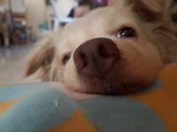 Tired