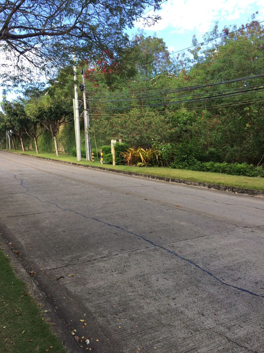 GREEN ROAD