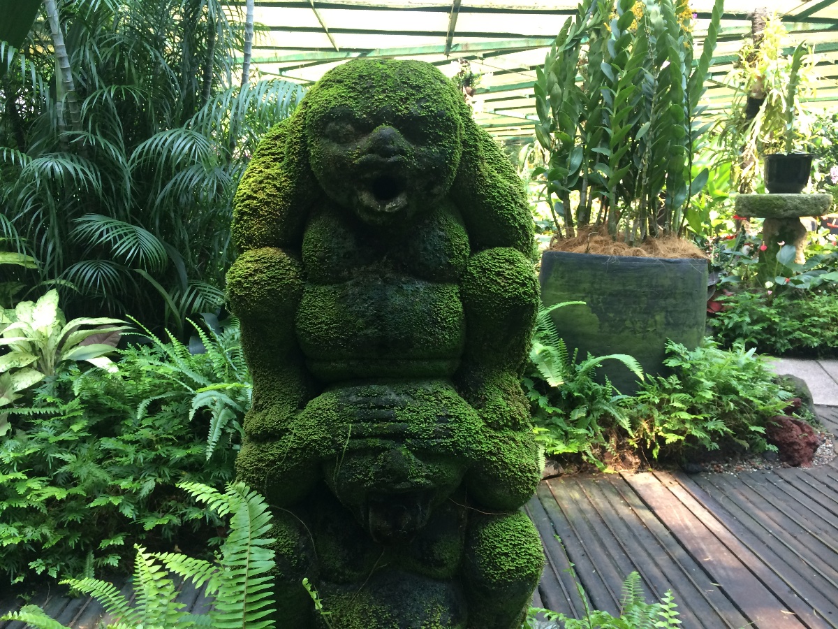 funny looking statue, orchids