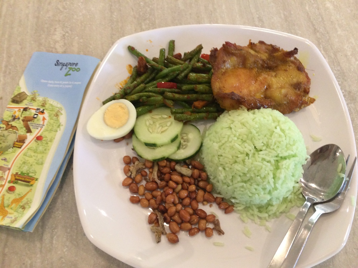 lunch, zoo, singapore, travel, explore