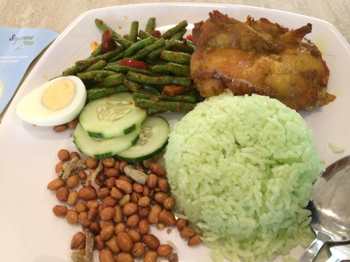 lunch, zoo, singapore, travel, explore