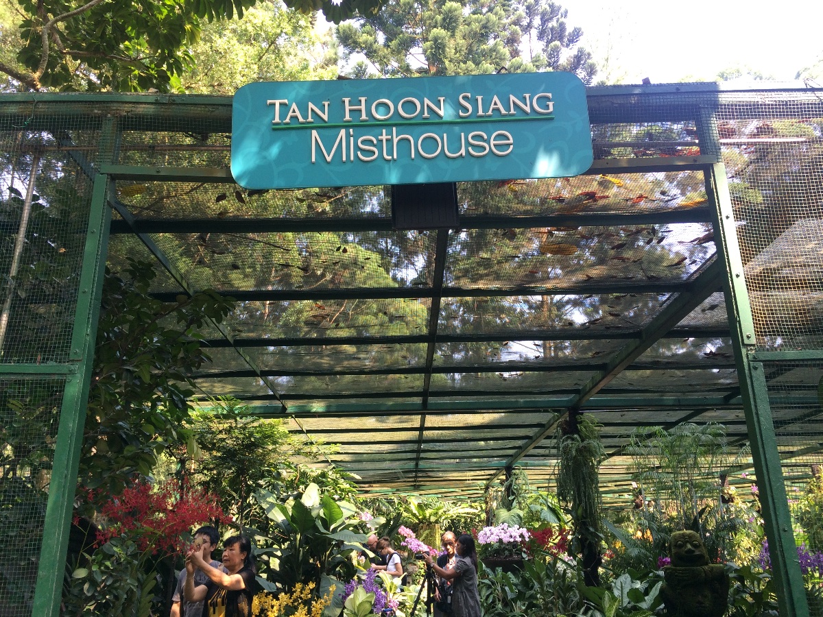 misthouse, singapore, orchid garden