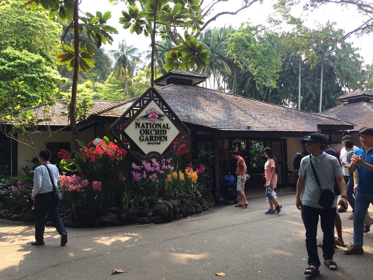 national orchid garden, singapore