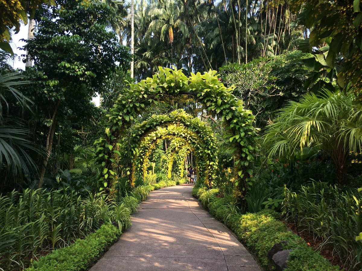 nature, trail, walk, garden, beautiful