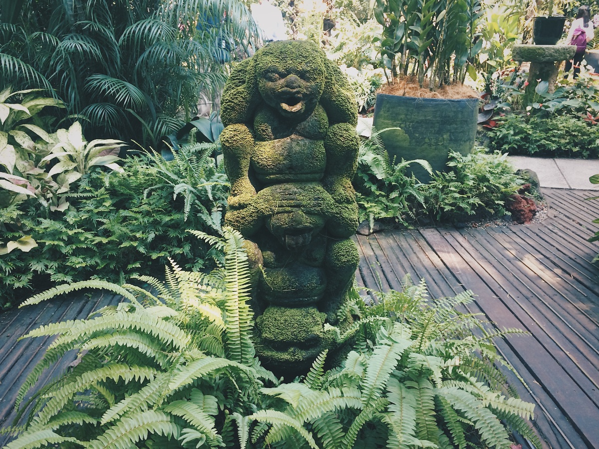 singapore botanic gardens, nature, lover, view, trail, walking, hiking
