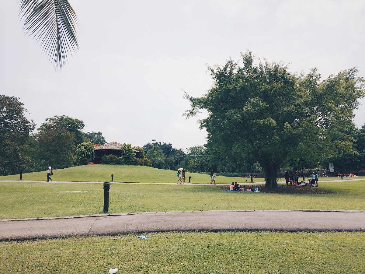 singapore botanic gardens